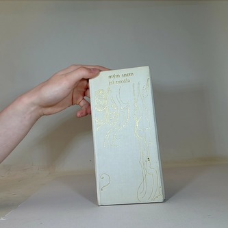 Mým snem jsi prošla