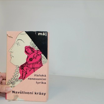 Navštívení krásy