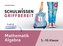 Schulwissen griffbereit. Mathematik Algebra
