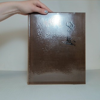 Západní Čechy v obrazech