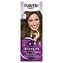 Schwarzkopf Palette Intensive Color Creme barva na vlasy 5-1 ledový světle hnědý