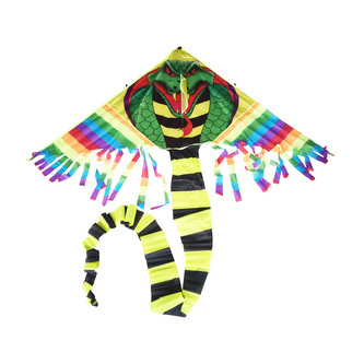 Létající drak 170 cm