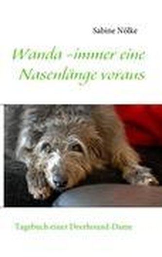 Wanda - immer eine Nasenlänge voraus