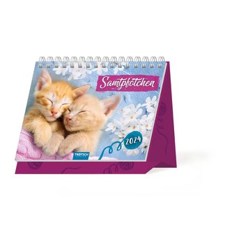Trötsch Aufstellkalender Samtpfötchen 2024