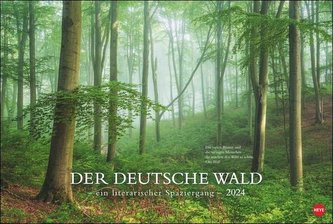 Der deutsche Wald - Ein literarischer Spaziergang Kalender 2024