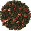 Jahodový Oolong - Strawberry Oolong, balení 100 g