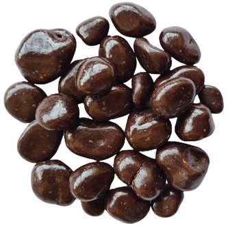 Brusinky v hořké čokoládě, balení 1 kg