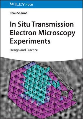 In-Situ Transmission Electron Microscopy Experiments