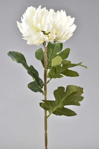 Chryzantéma bílá 72 cm