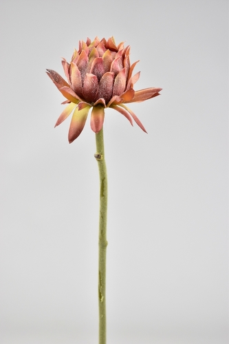 Umělá květina artyčok starorůžový 60 cm