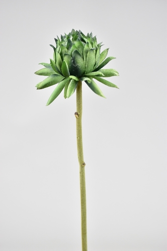 Umělá květina artyčok tmavě zelený 60 cm