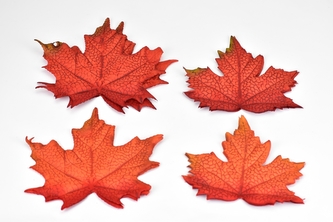 Listy javoru Acer B sada 12 ks