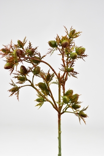 Umělá květina bodlák hnědý 55 cm