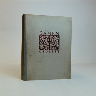 Kámen a bolest