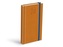 Diář 2024 D802 PU with rubber mustard denní