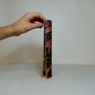 Čachtická paní III.