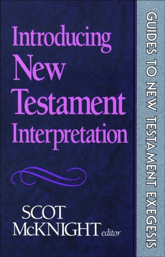 Introducing New Testament Interpretation