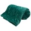 HOME ELEMENTS Mikroflanelová deka, 220x240cm, Zelená