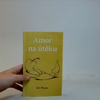 Amor na útěku