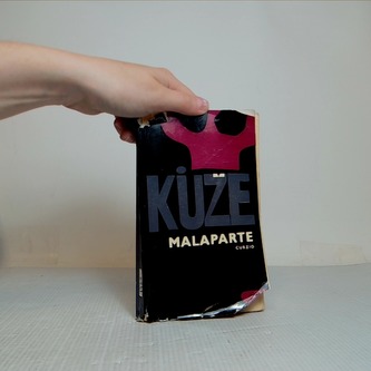 Kůže