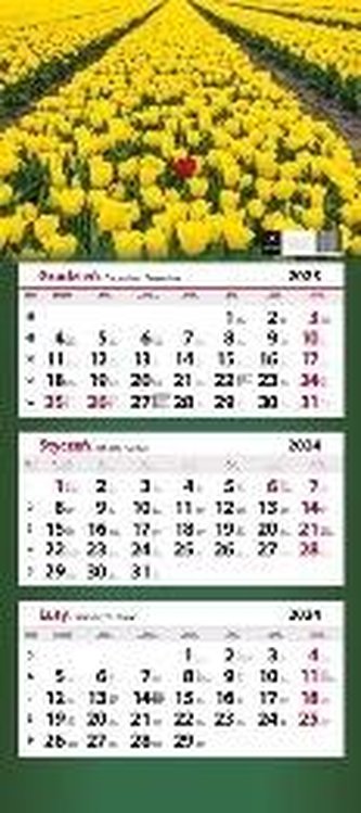 Kalendarz 2024 ścienny trójdzielny MIX