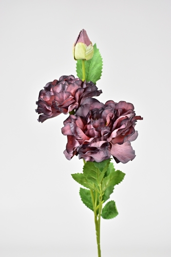 Podzimní růže tmavě fialová 68 cm