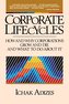 Corporate Lifecycles