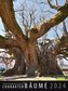 Charakter-Bäume 2024