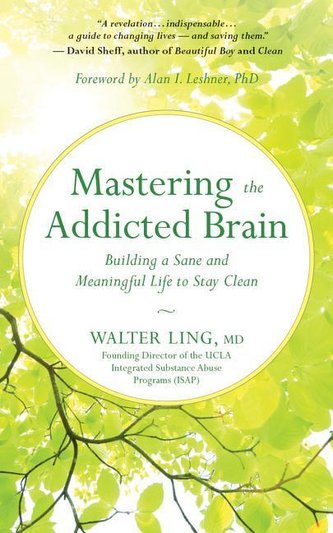 Mastering the Addicted Brain: Building a Sane and Meaningful Life to Stay Clean