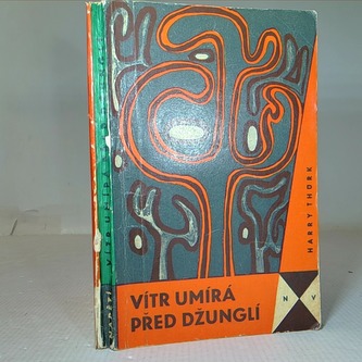 Vítr umírá před džunglí