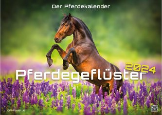 Pferdegeflüster - Der Pferdekalender - 2024 - Kalender DIN A3