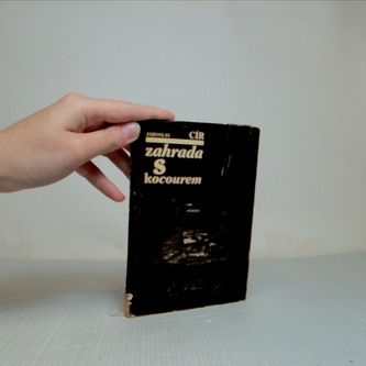 Zahrada s kocourem