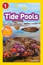Tide Pools (L1)