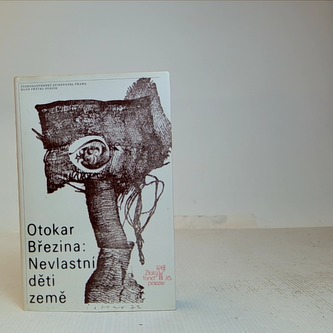 Nevlastní děti země