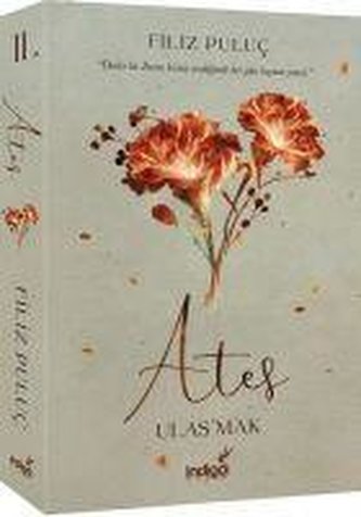 Ates 2 - Ulasmak