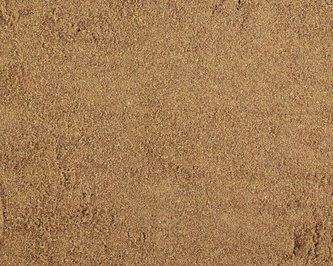 Římský kmín - 50 g