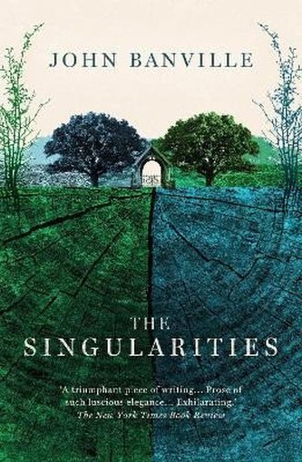 The Singularities