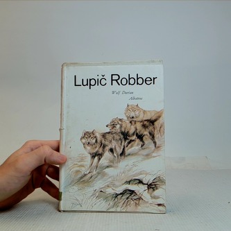 Lupič Robber