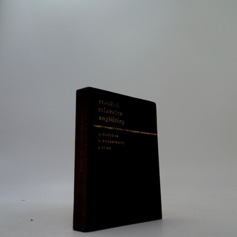 Stručná mluvnice angličtiny