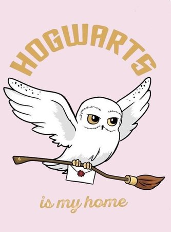 FLÍSOVÁ DEKA  HARRY POTTER HEDVIKA DE LUX