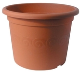 obal d17cm Narcis TER