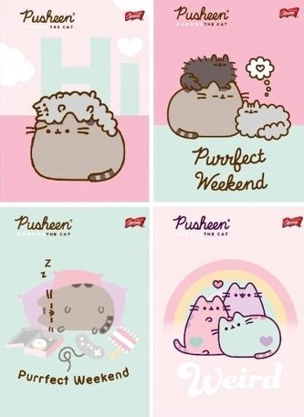Zeszyt A5/32K kratka Pusheen (15szt)