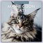 Maine Coon Cats - Maine Coon Katzen 2024 - 16-Monatskalender