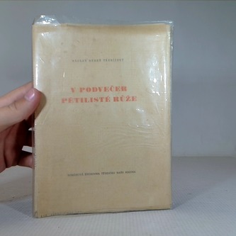 V podvečer pětilisté růže