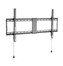 GEMBIRD Držák TV WM-90F-01, 43"-90" (70kg), pevný