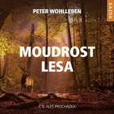 Múdrosť lesa