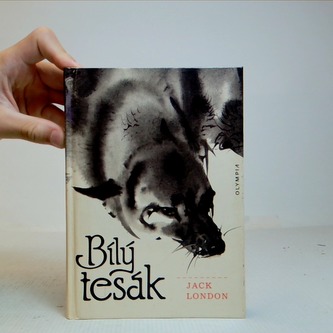 Bílý tesák
