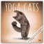 Yoga Cats - Yoga-Katzen 2024 - 16-Monatskalender