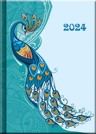 Diář 2024 Praktik PÁV, denní A6