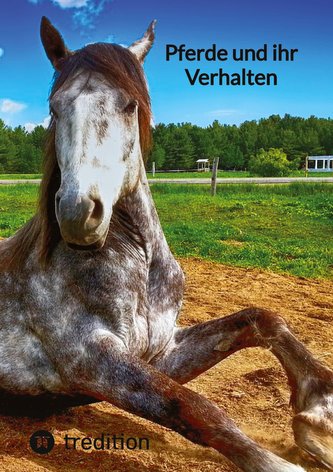 Pferde und ihr Verhalten